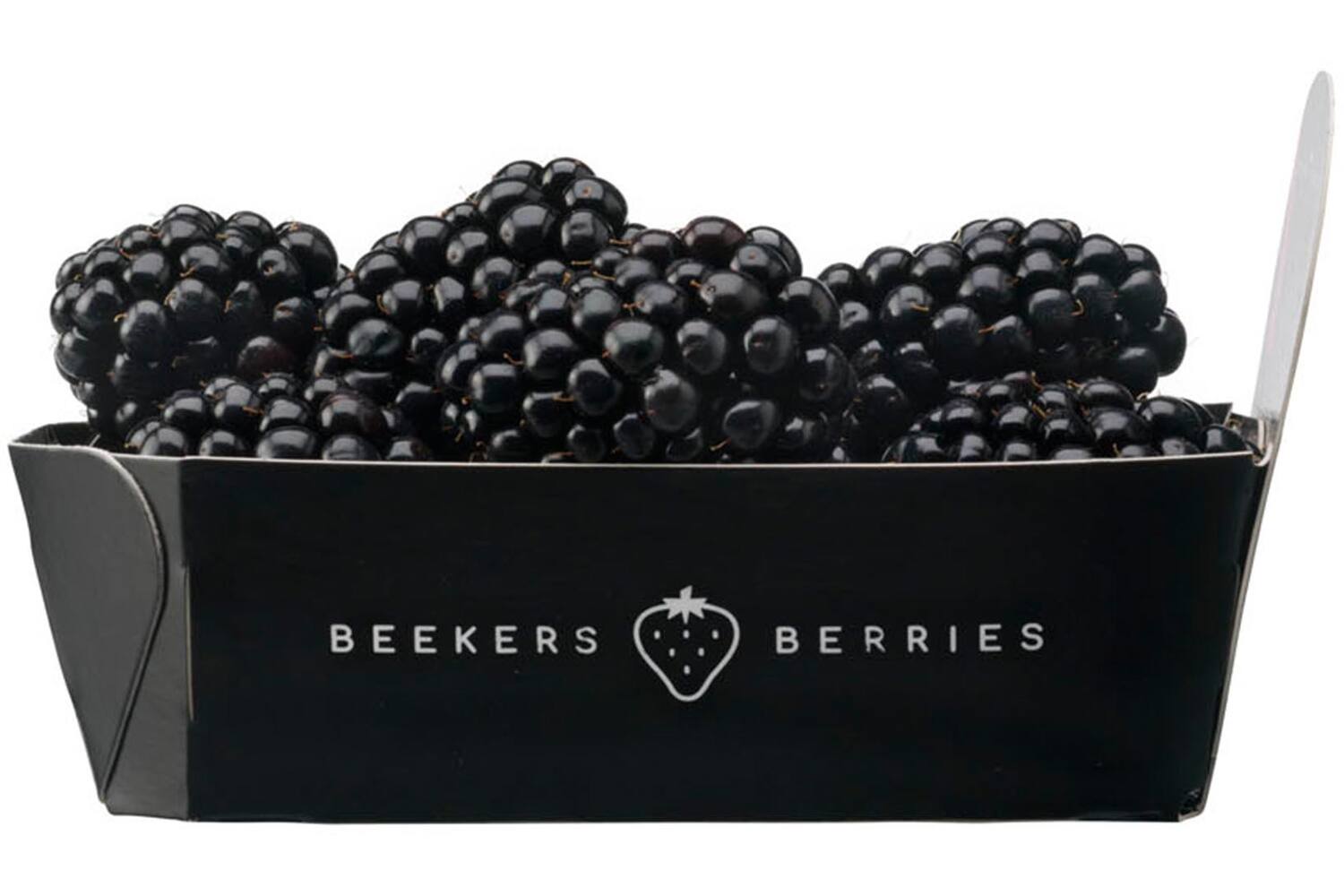 Bramen beekers berries 125gr kist 12 stuks